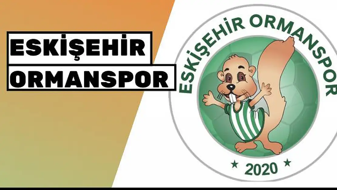 Ormanspor ile Özoğlu’nun yolları ayrıldı