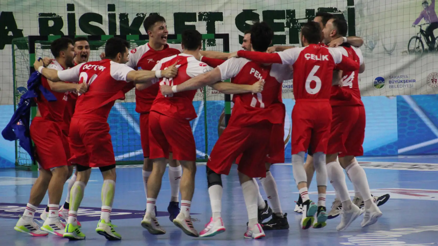 Türkiye - İtalya 2025 Dünya Şampiyonası Avrupa Elemeleri Maçı