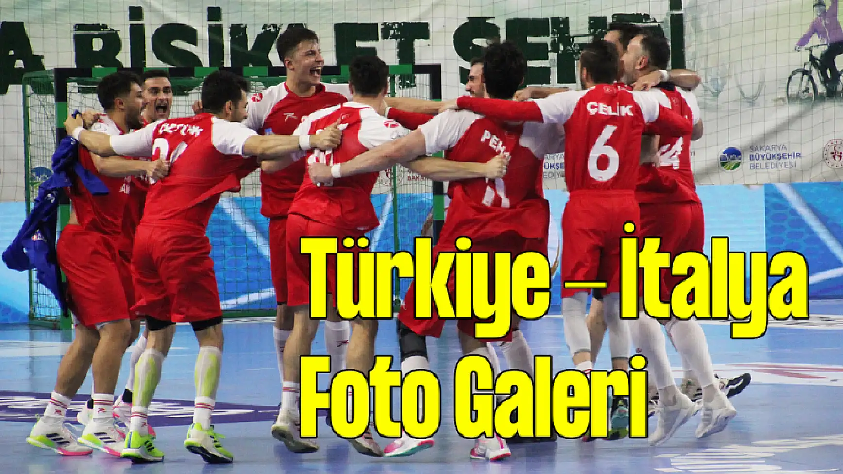 Türkiye - İtalya 2025 Dünya Şampiyonası Avrupa Elemeleri Maçı