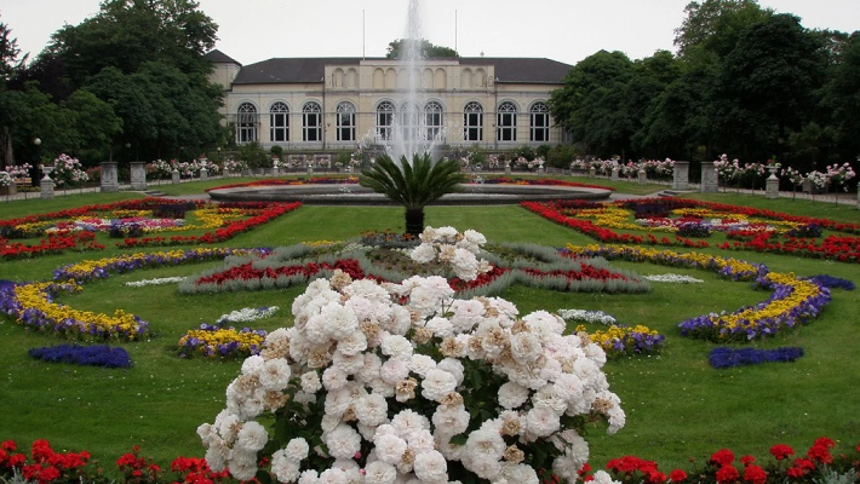 Köln’ün botanik bahçelerinde tarihi bir gün…